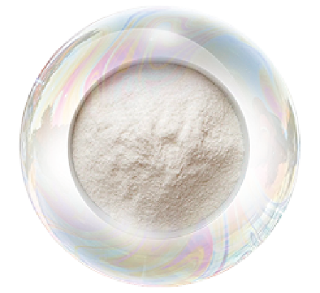 Rice protein 