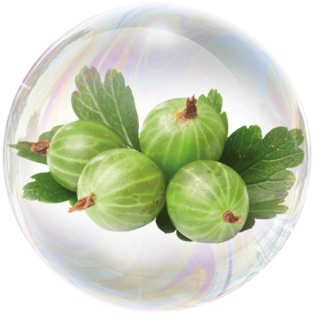 Gooseberry