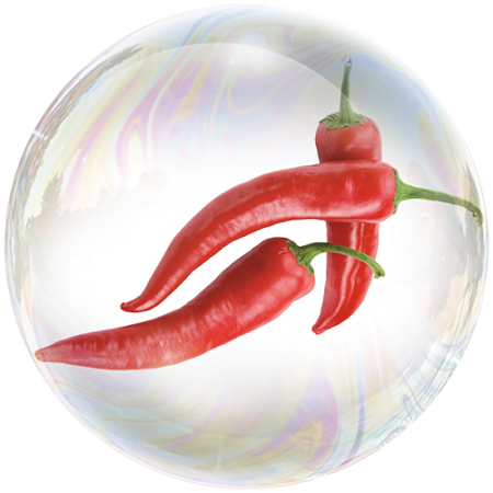 Red Pepper (Capsicum)**