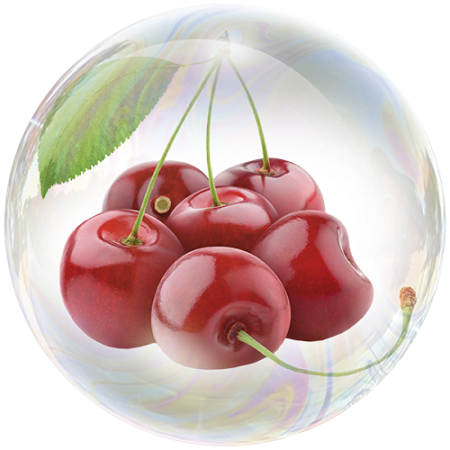 Sour Cherry (Prunus cerasus)**