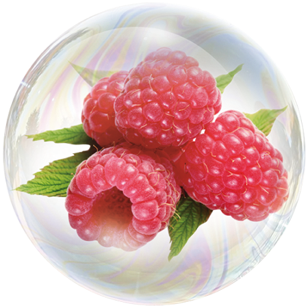 Raspberry (Rubus idaeus)**