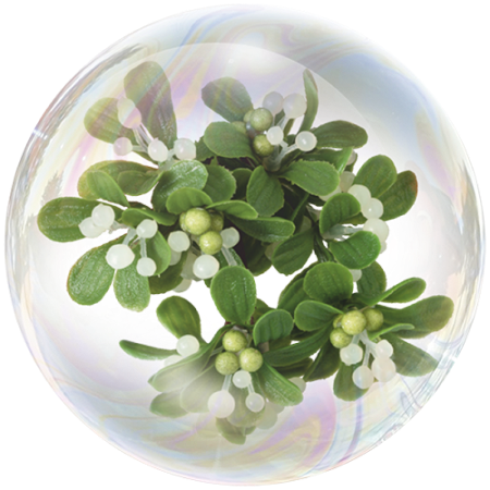 Mistletoe (Viscum album)**