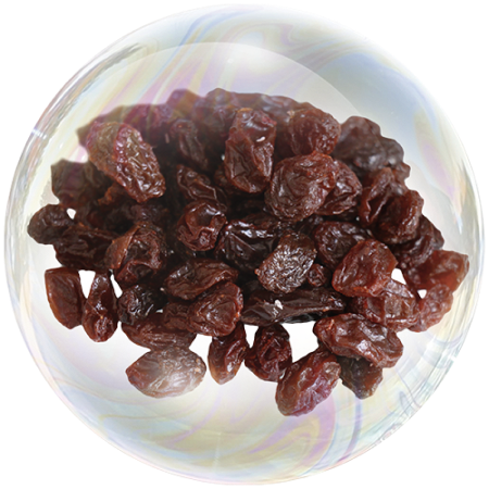 Raisin