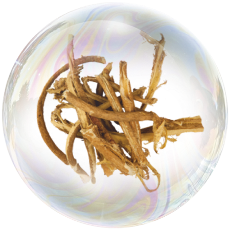 Ashwagandha (Withania somnifera)**
